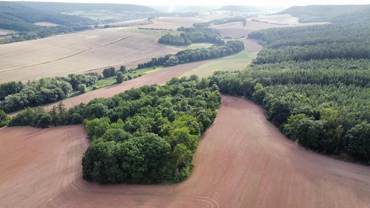 Prodej sadu, vinice 26115 m²